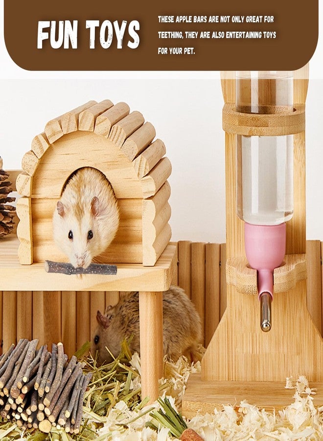WYOMER 2lb(900g) Small Apple Sticks for Rabbits, Animals Molar Wood Treats Toys for Chinchillas Guinea Pig Hamster Gerbil Parrot Bunny and Small Animals Chew Stick Toys Treats - Image 5